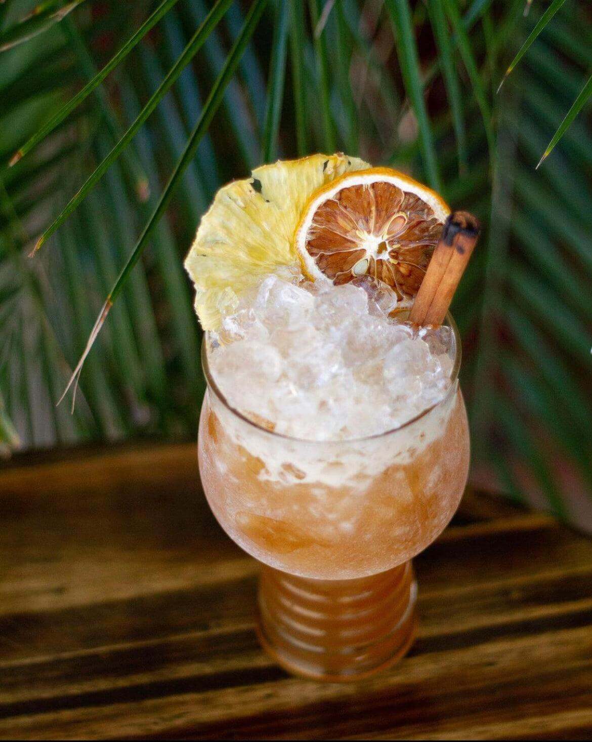 Dehydrated Lemon Garnish, 3oz, (45+ Slices) - Cocktail Garnish Co